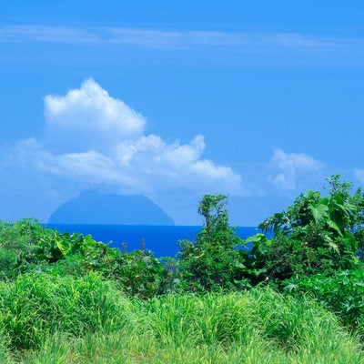 鬱蒼と茂る草木の向こう見える南硫黄島の写真