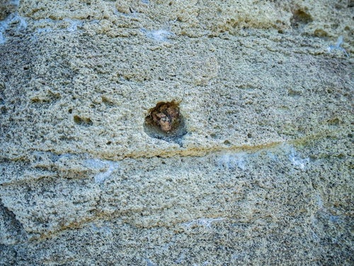 北の鼻の塹壕に残る弾丸の写真