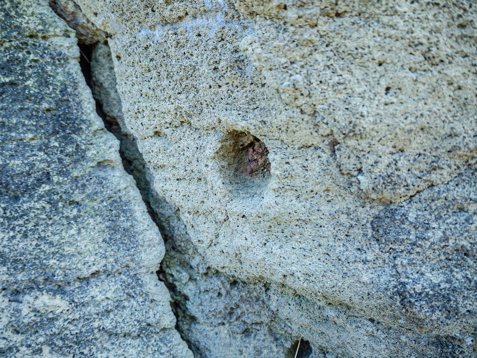 「塹壕の壁に食い込み残る弾丸」の写真