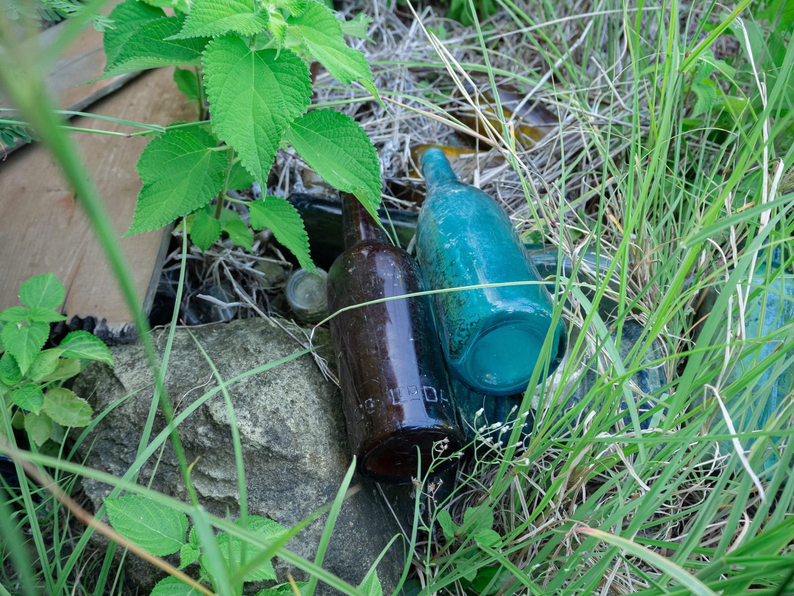 「給水部壕口に残る空き瓶」の写真