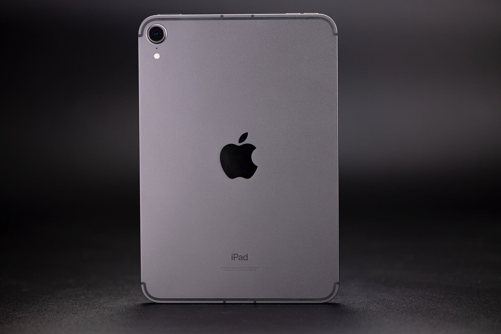 「iPad mini（第6世代）の背面」の写真
