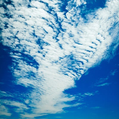 青空の羊雲の写真