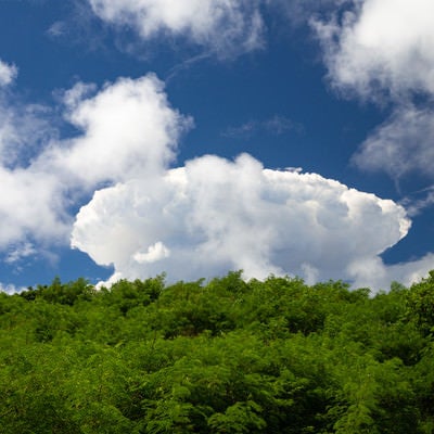 壁画敷地から観た南硫黄島近海の噴火で発生した雲の写真