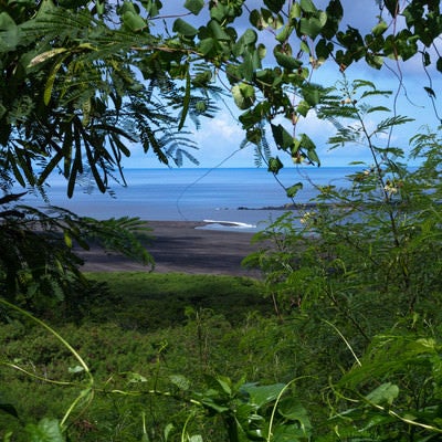大阪山砲台から臨む北海岸（漂流木海岸）の写真
