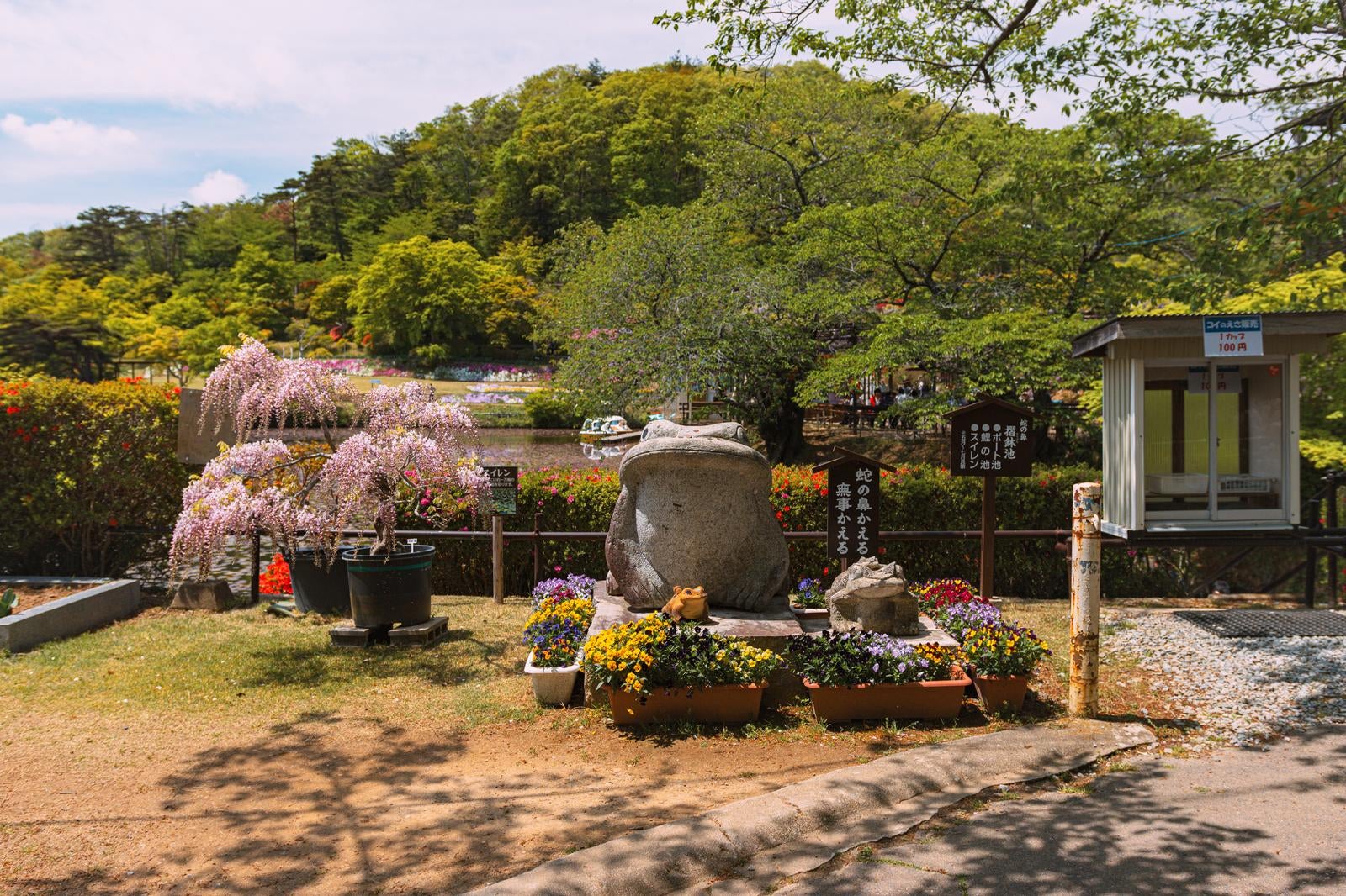 「蛇の鼻公園のカエル石像と庭園」の写真