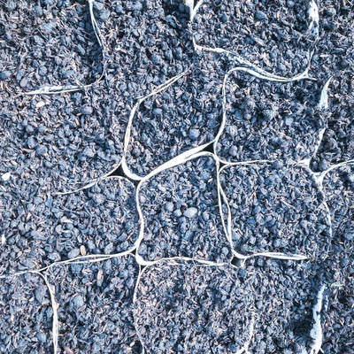 白色のカラーポリポットに入った用土（テクスチャ）の写真