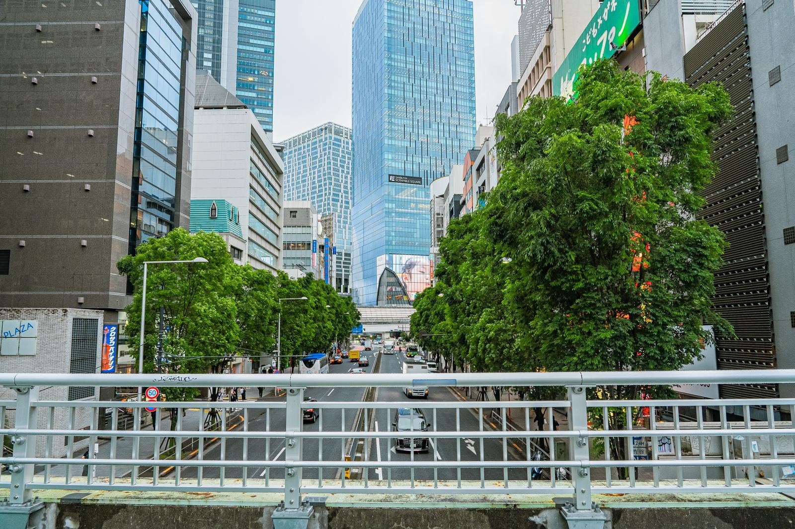 「東京渋谷にある渋谷一丁目の歩道橋と明治通りのビル群」の写真