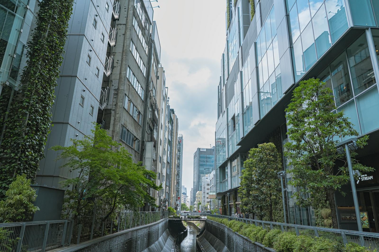 「渋谷川と高層ビルと自然が共存する東京の景観」の写真
