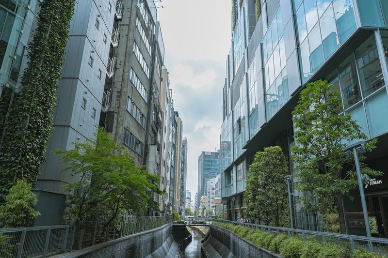 渋谷川と高層ビルと自然が共存する東京の景観の写真
