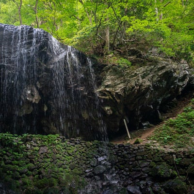 新緑に囲まれる岩井滝の写真