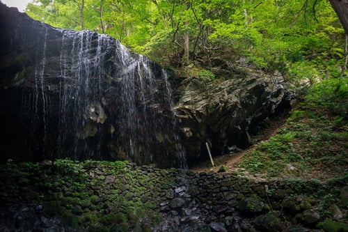 新緑に囲まれる岩井滝の写真