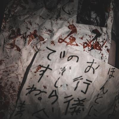 病的執念が滲む怪文書の写真