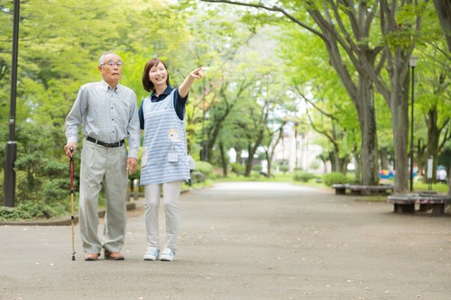 新緑の公園を散歩するの写真