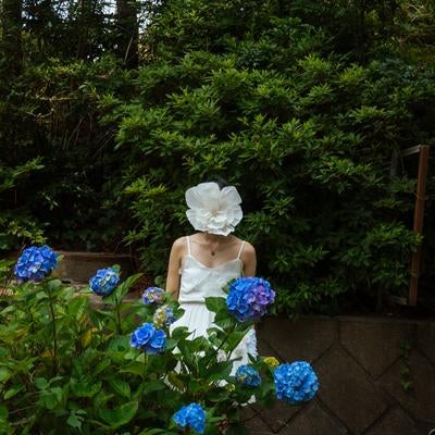 紫陽花と花人の素材