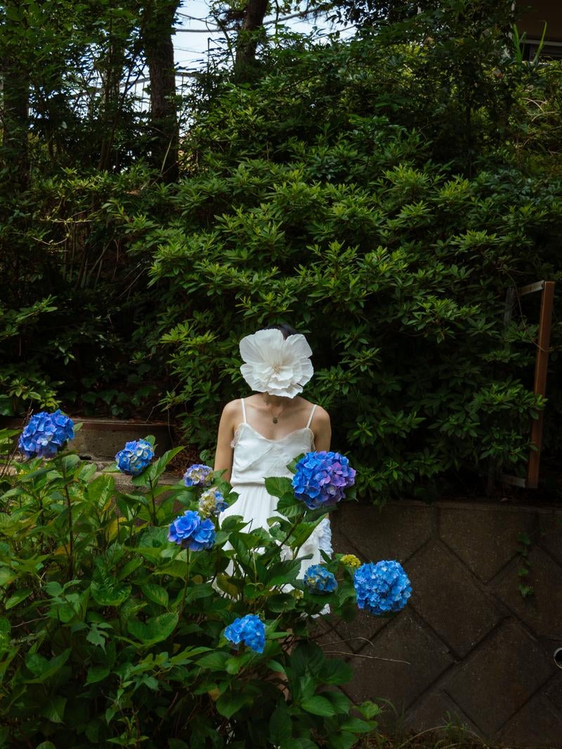 紫陽花と花人の写真