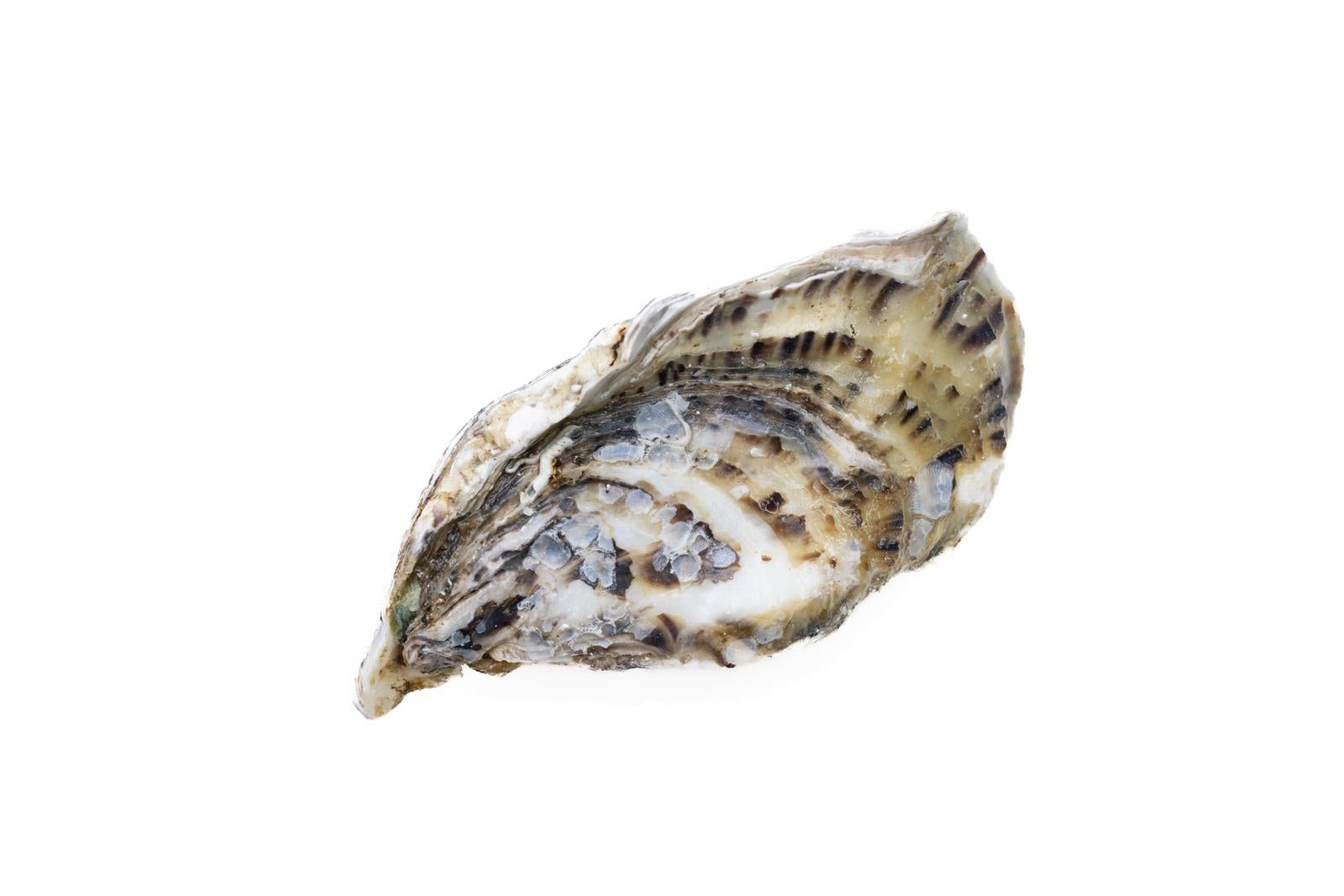 「殻付き牡蠣」の写真