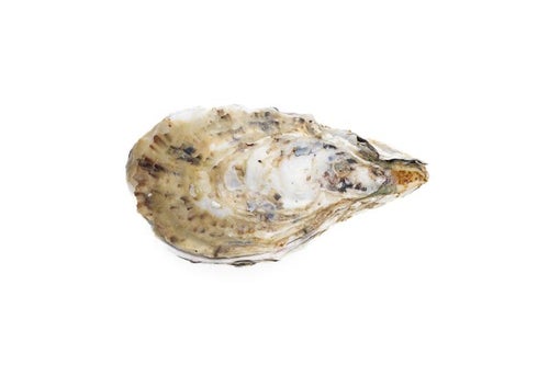 牡蠣殻付き牡蠣と美味の形の写真