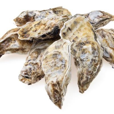 白い殻が目立つ山積みの殻付き牡蠣、新鮮な海産物の写真