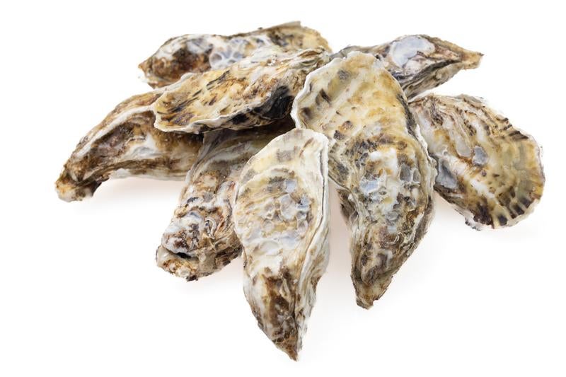 山積みの殻付き牡蠣の写真