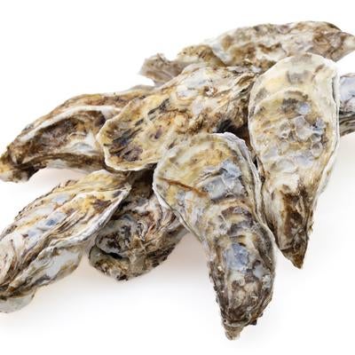 殻付き牡蠣を山盛りに積み重ねた生食用の鮮魚の写真