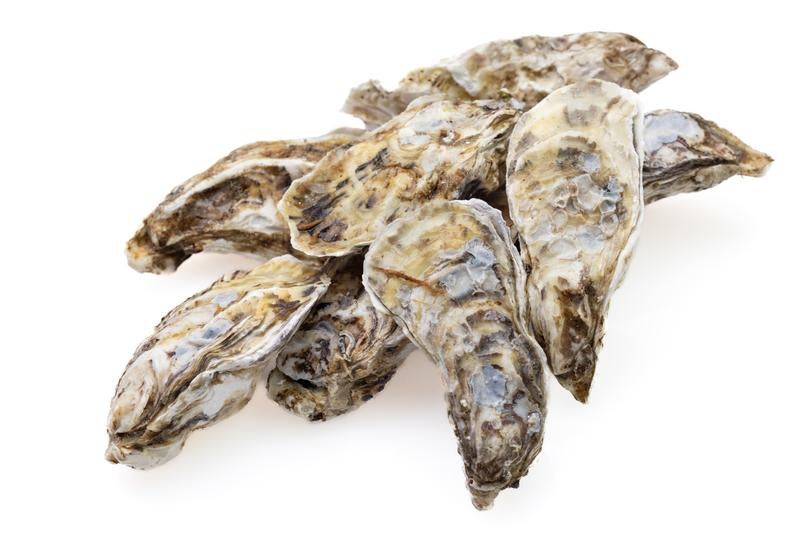 牡蠣殻付き山盛りの写真