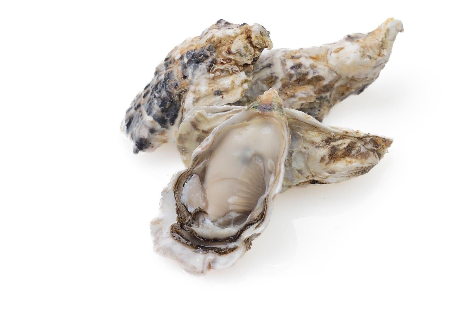 「新鮮な生牡蠣」の写真