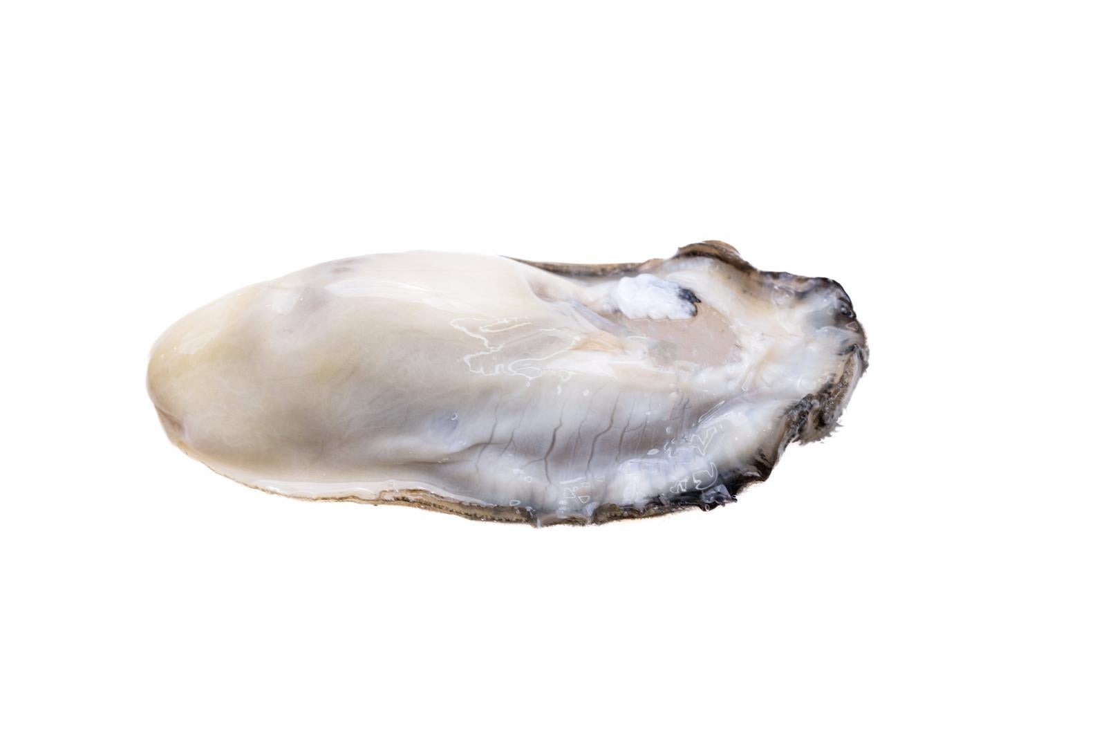 「美食の喜びと牡蠣の身の切り抜き」の写真