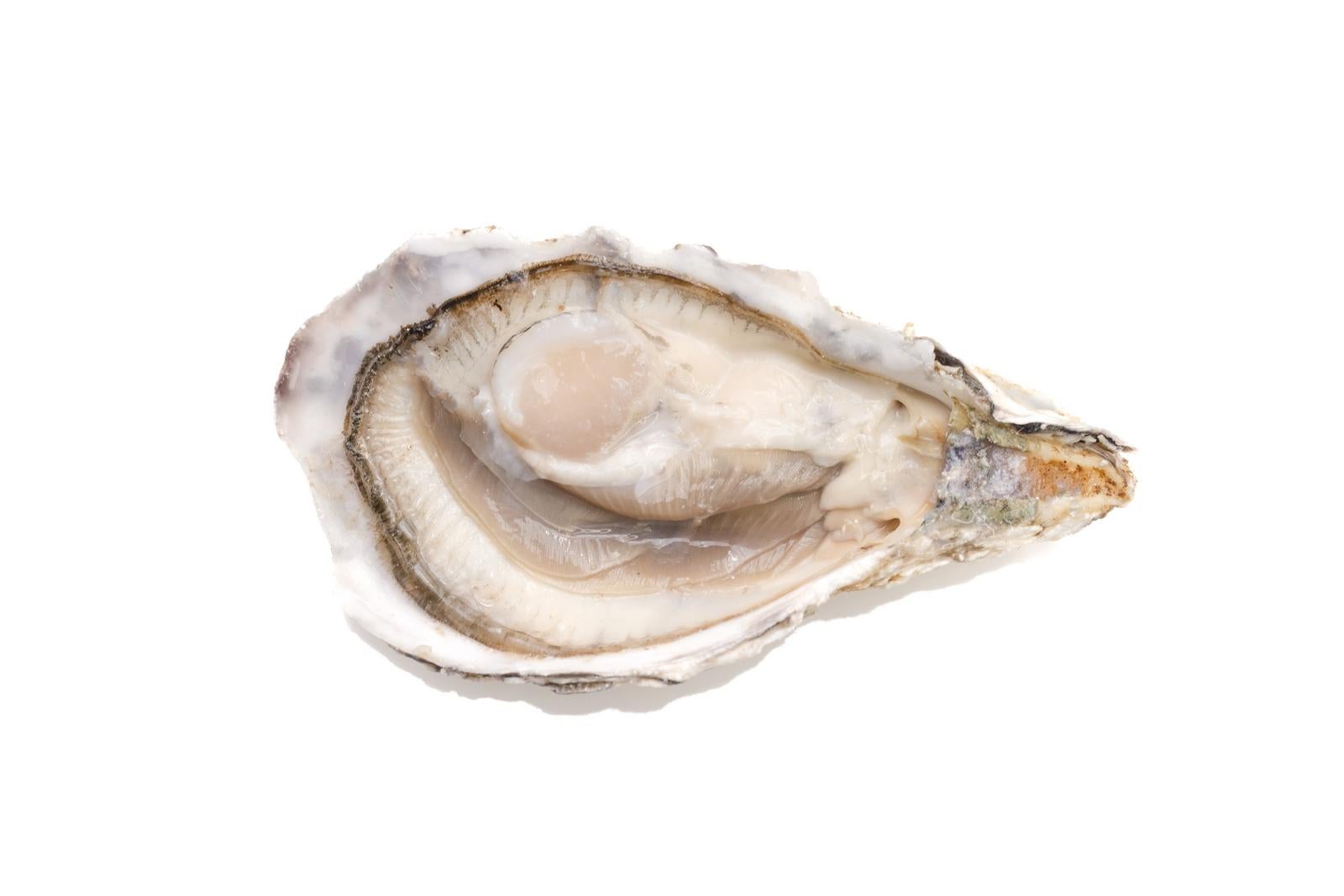 「小ぶりの殻付き生牡蠣」の写真