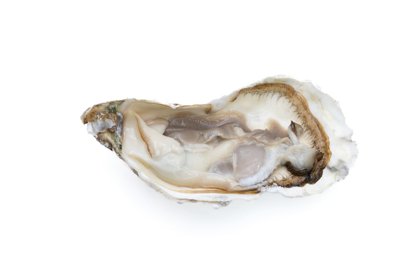 「生牡蠣の切り抜き」の写真