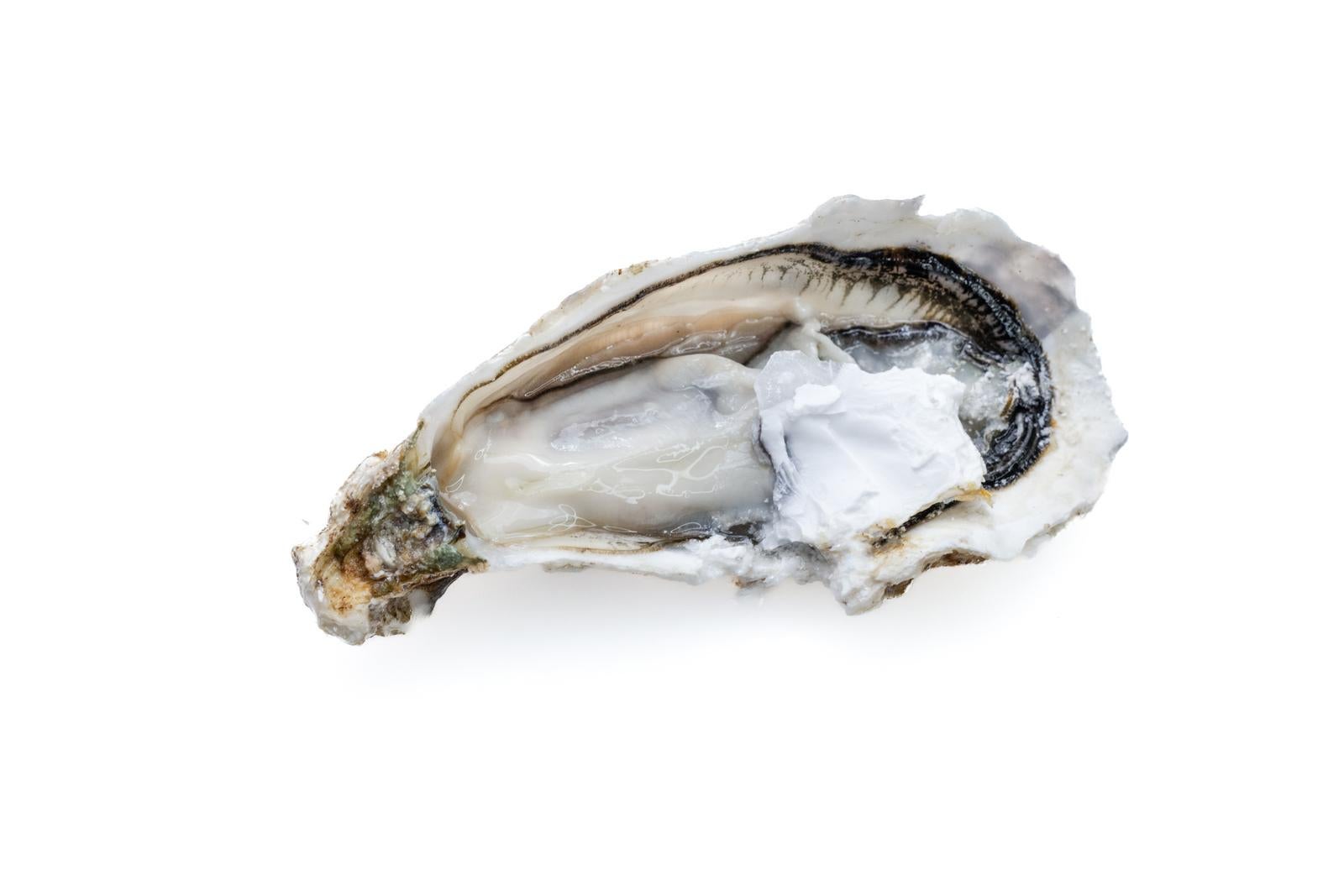 「海の風味を切り抜く牡蠣殻付き牡蠣」の写真