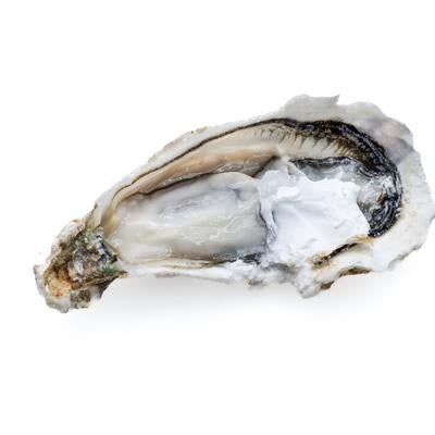 海の風味を切り抜く牡蠣殻付き牡蠣の写真