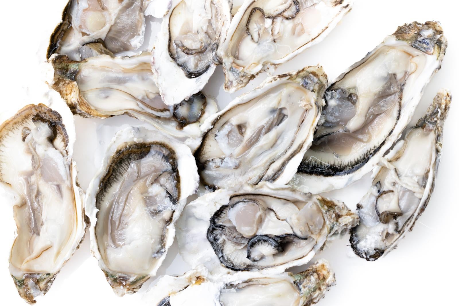 「牡蠣殻付き生ガキの盛り合わせ」の写真