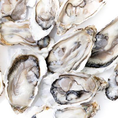牡蠣殻付き生ガキの盛り合わせの写真