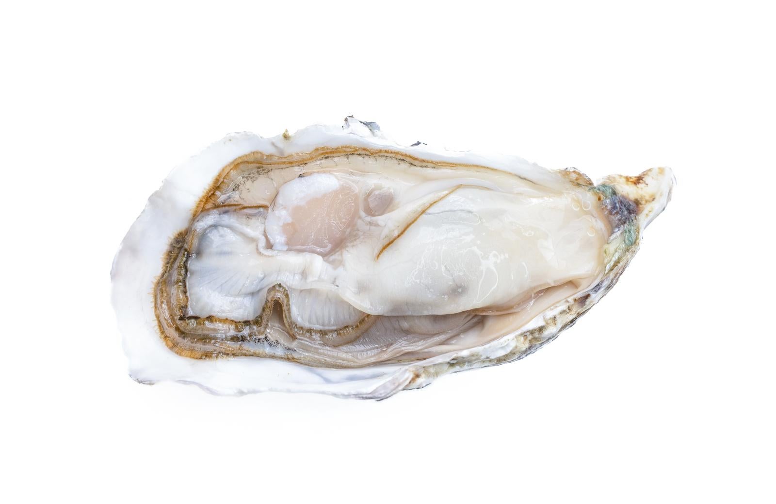 「牡蠣殻付き牡蠣」の写真