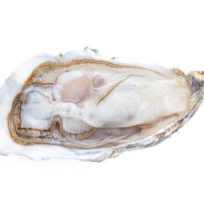 牡蠣殻付き牡蠣の写真