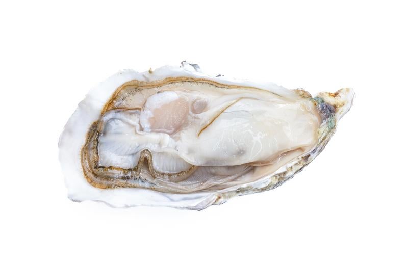 牡蠣殻付き牡蠣の写真