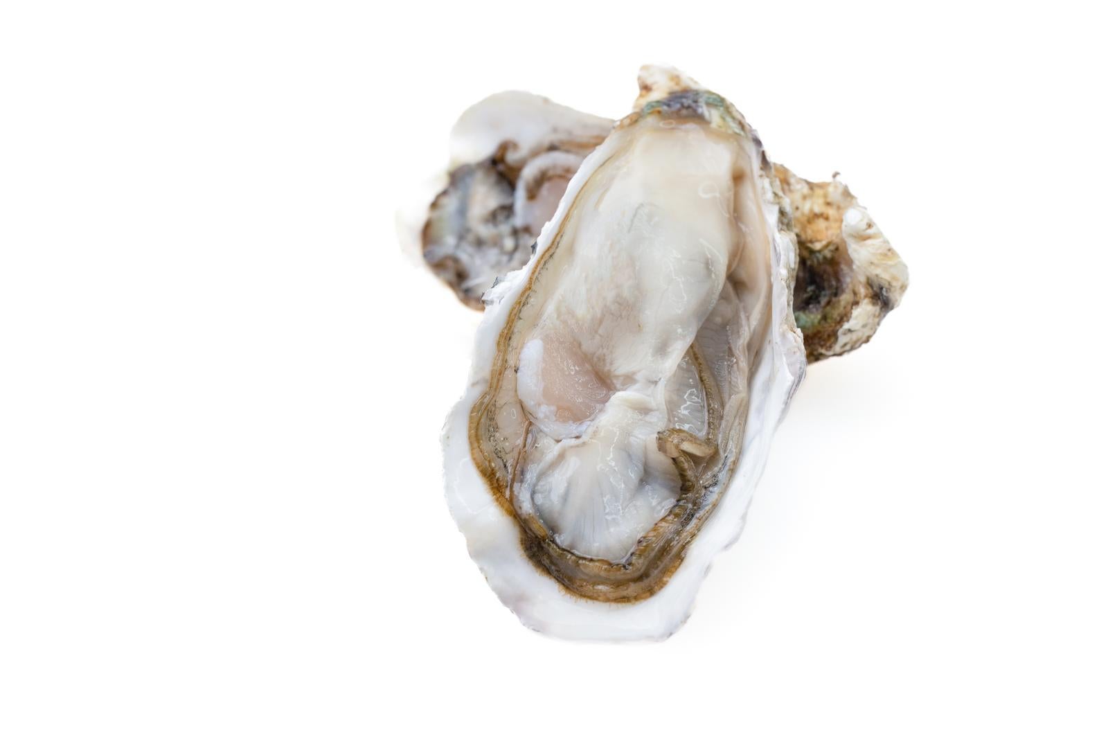 「生牡蠣と切り抜きの美学」の写真