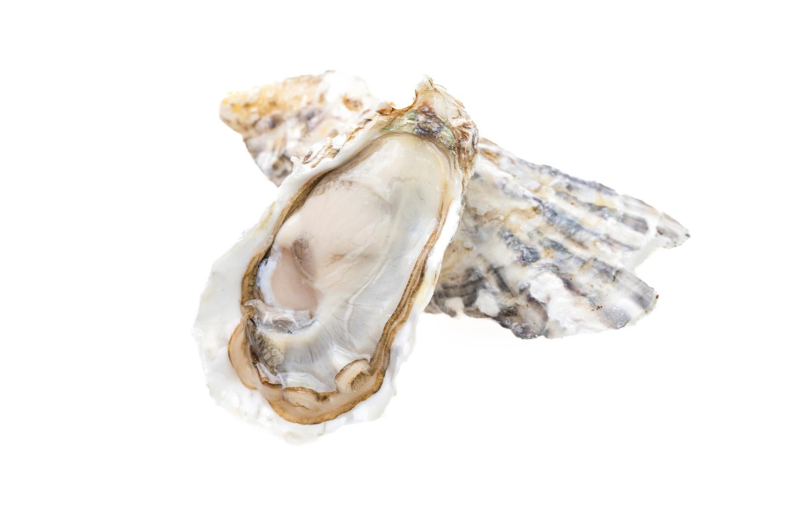 「生牡蠣と殻」の写真