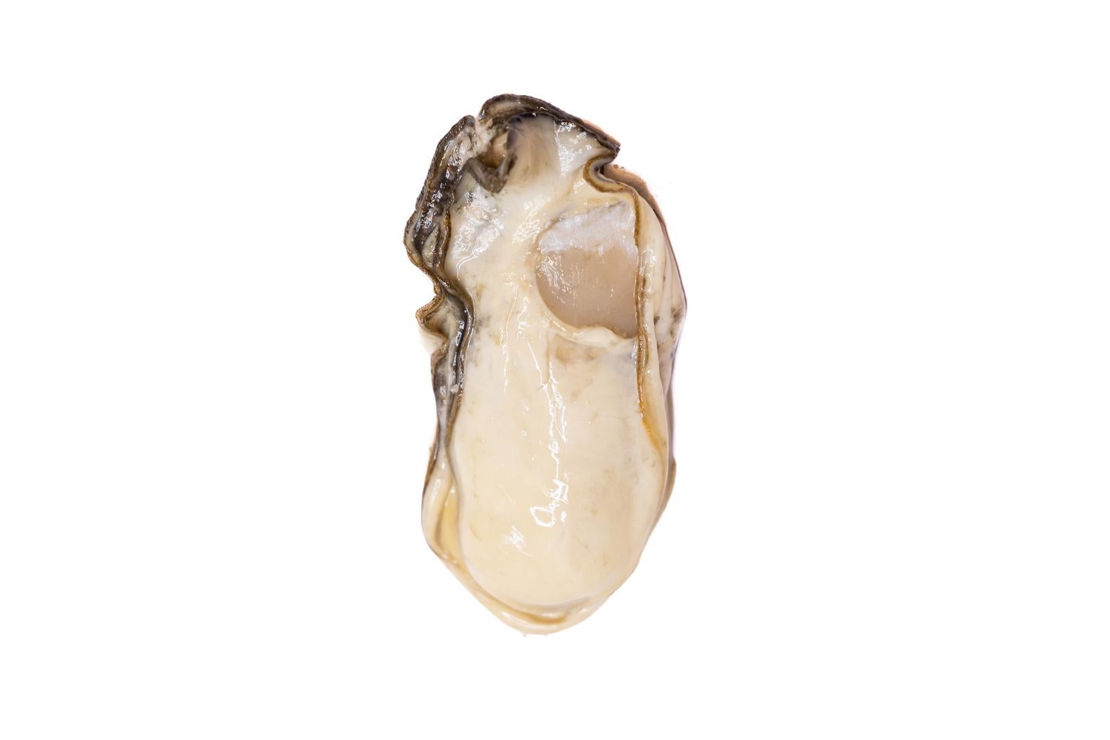 「生牡蠣の剥き身と海のフレッシュネス」の写真