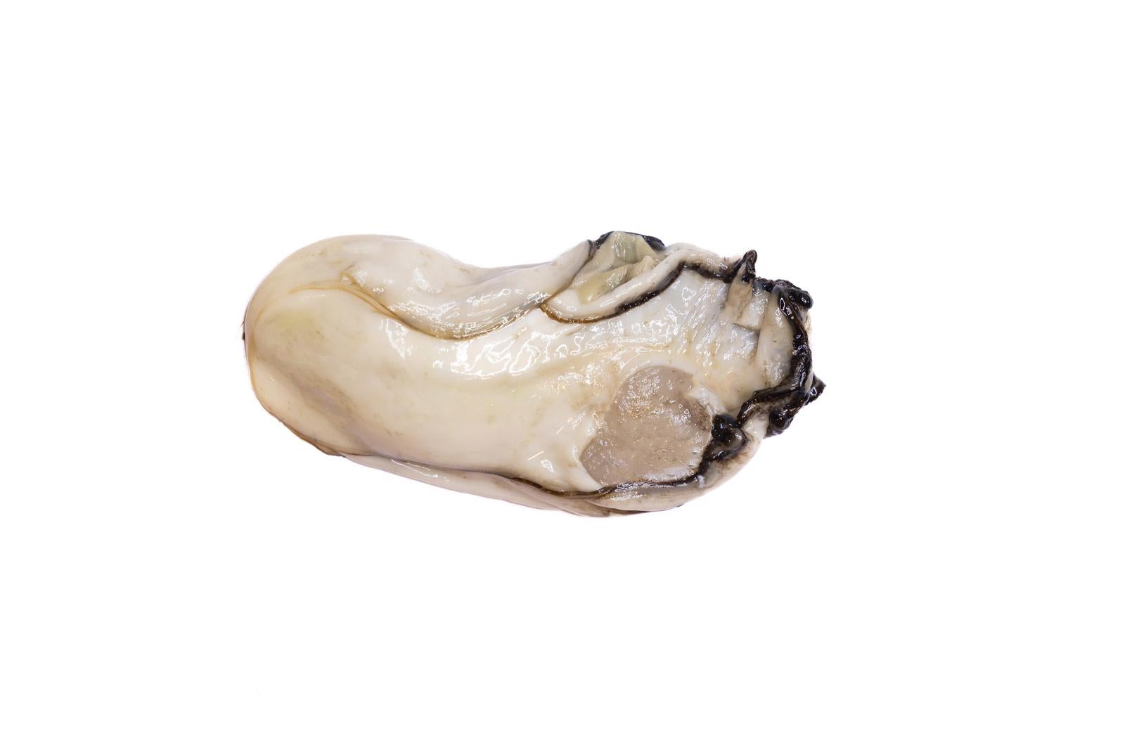 「剥き身から切り抜く牡蠣の魅力」の写真