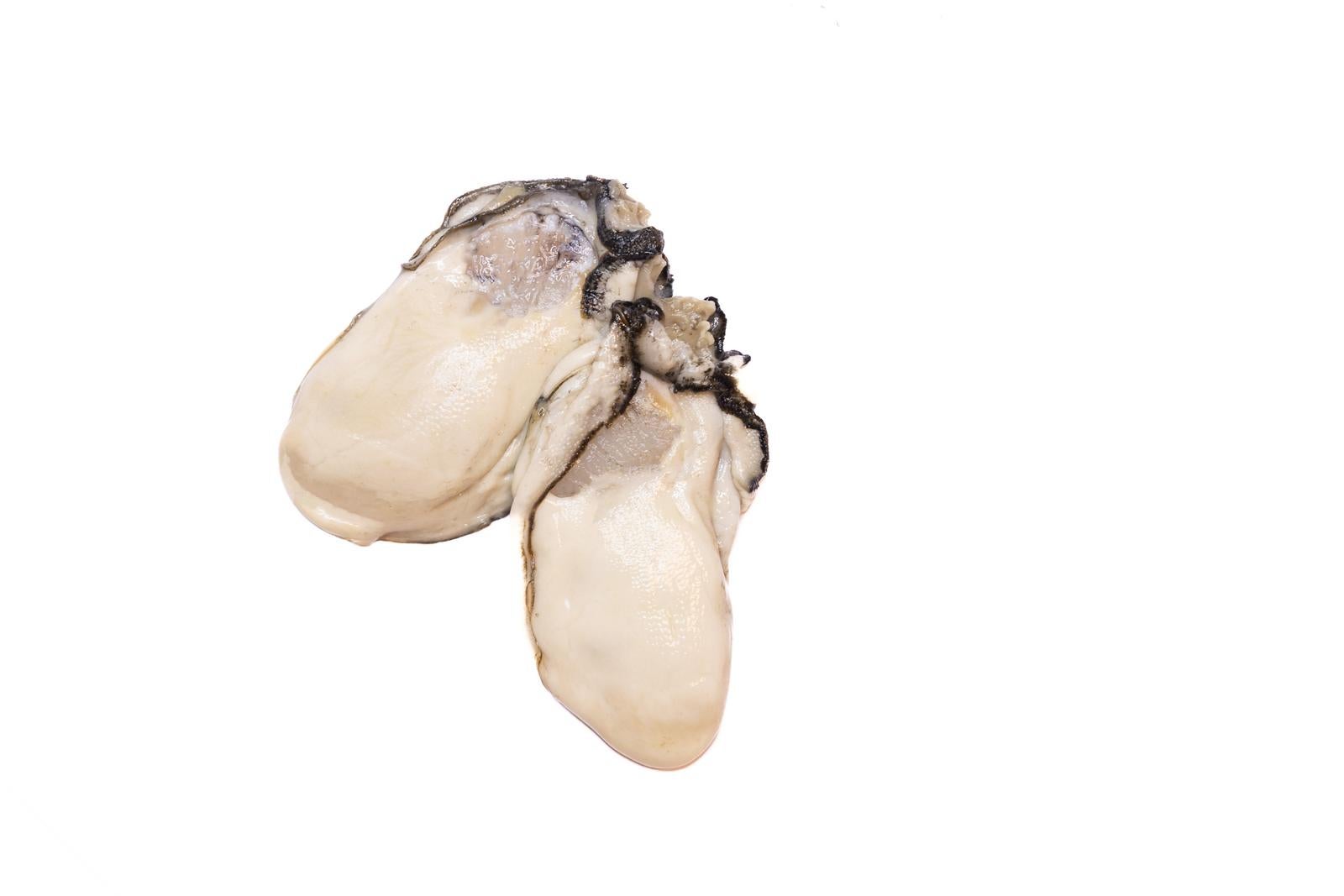 「剥き身の生牡蠣」の写真