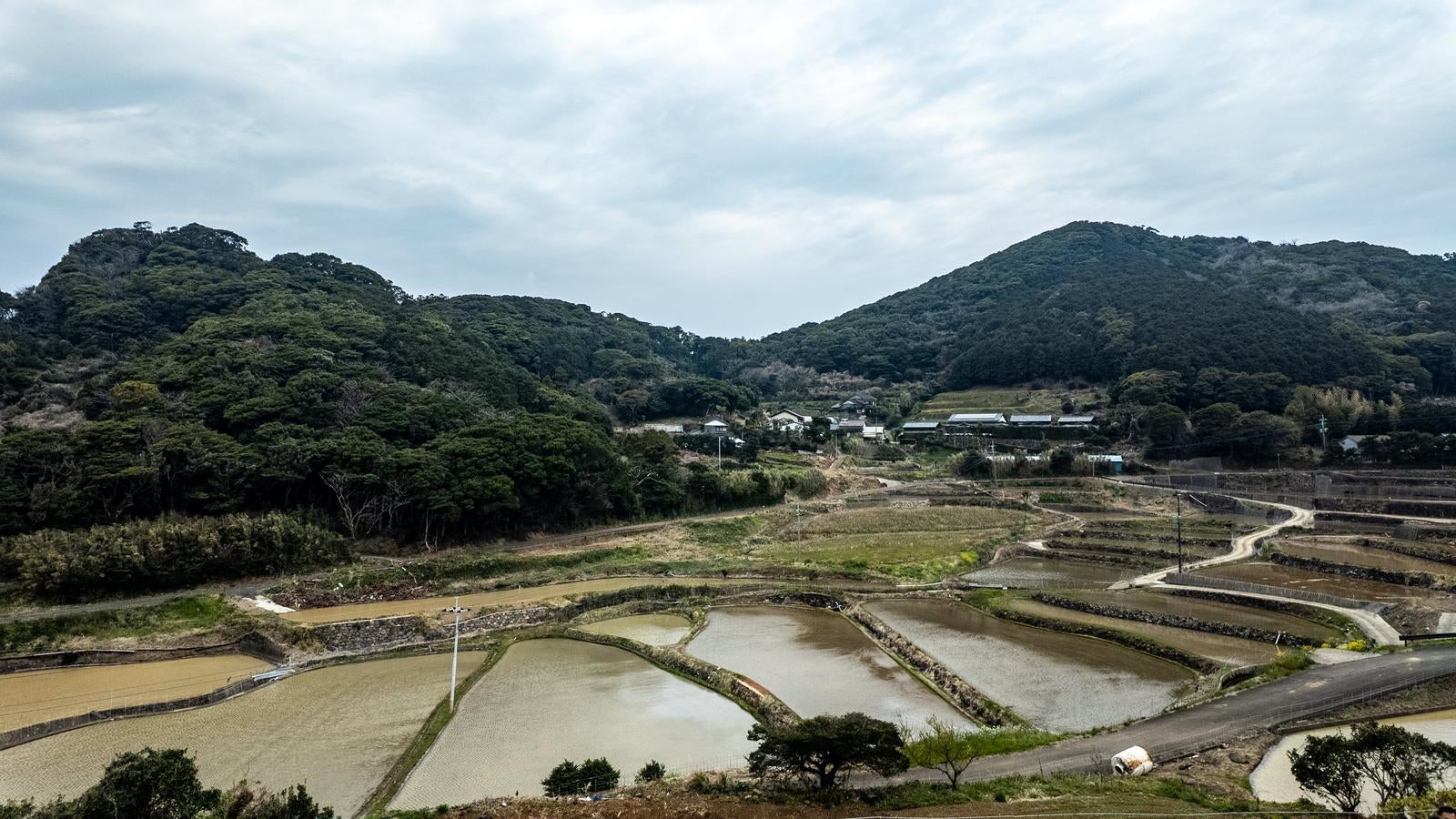 水を張った棚田が段々に広がり、奥に緑の山と春日集落の民家が見える俯瞰風景