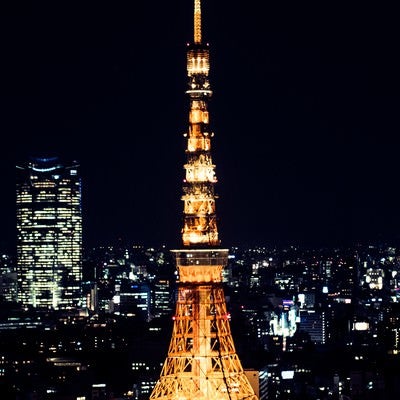 東京タワー（夜景）の写真