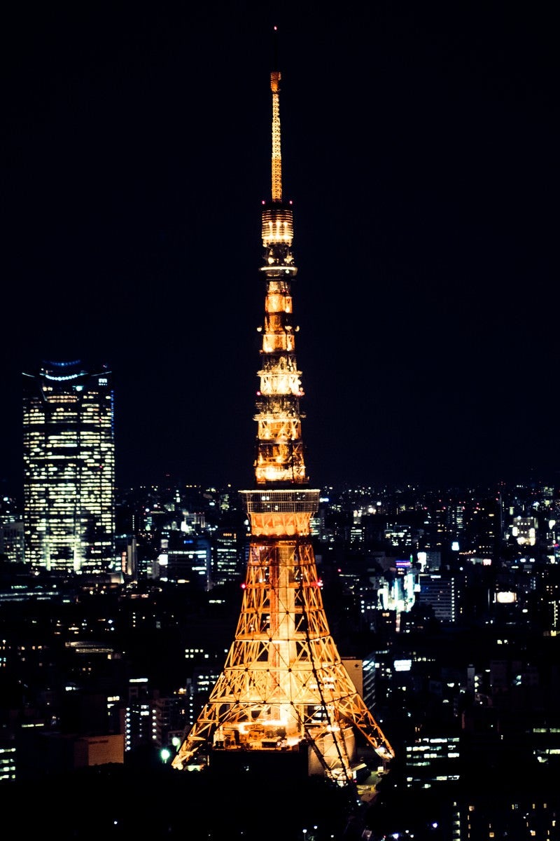「東京タワー（夜景）」の写真