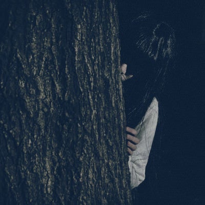 木の陰からこちらを覗き込む恥ずかしがり屋の貞子さんの写真