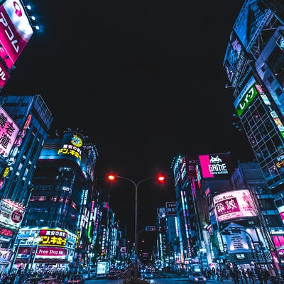 夜のサイバーパンク歓楽街（東京都新宿区）の写真