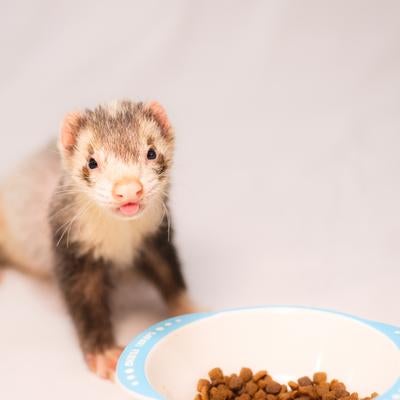 箸まだ？の写真