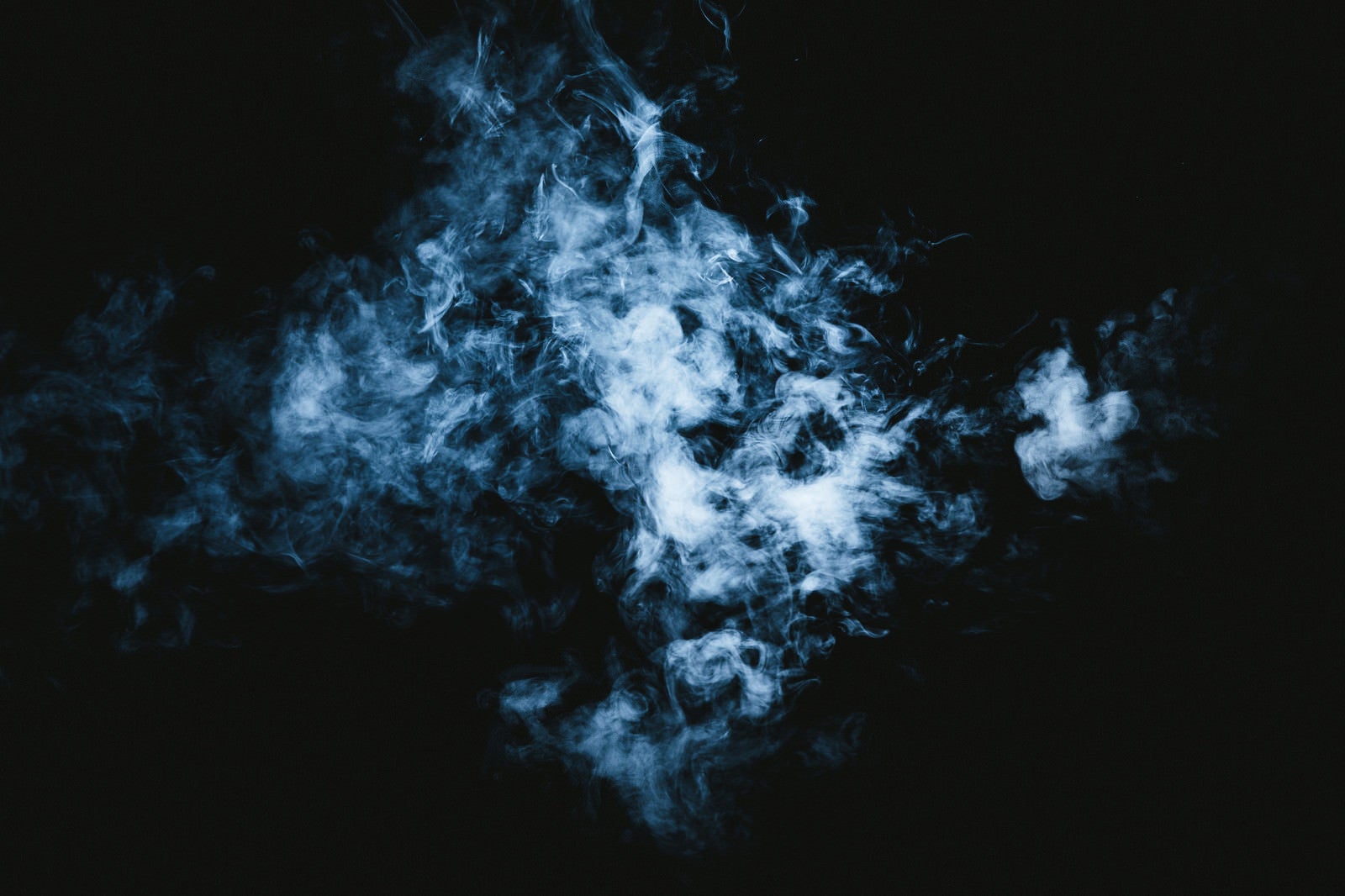 「化け猫に見える煙」の写真
