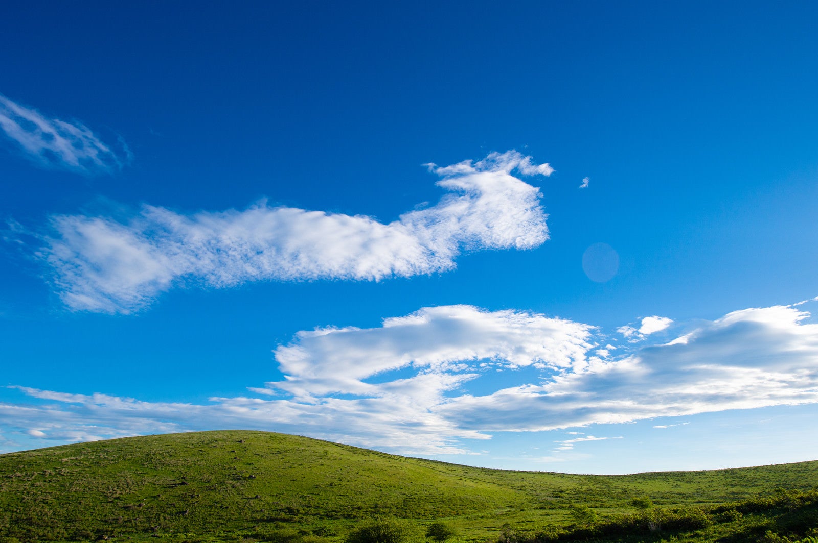 「青空と霧ヶ峰高原」の写真