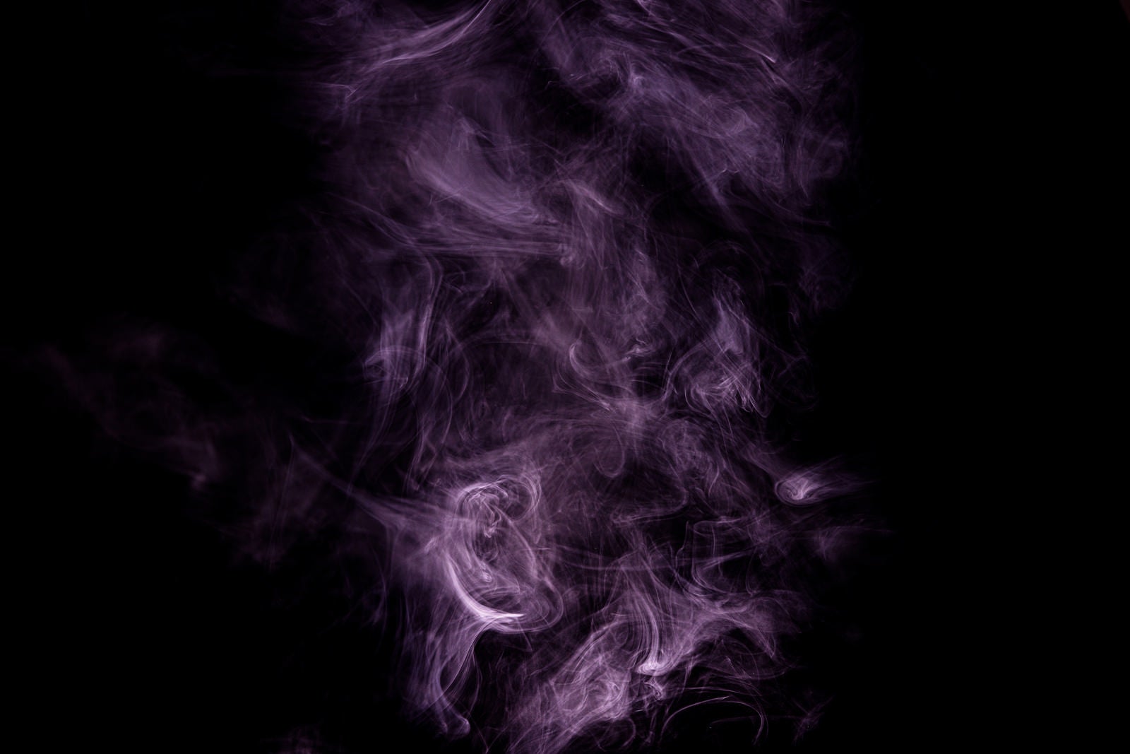 「紫色のスモーク」の写真